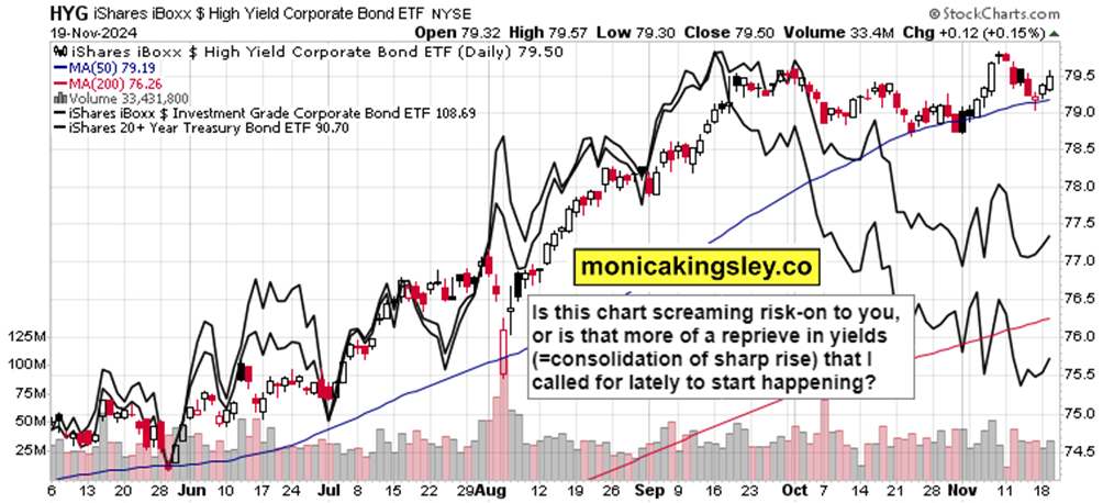国宝“兄弟”冰城安家！大熊猫“芝士”“芝麻”抵达哈尔滨