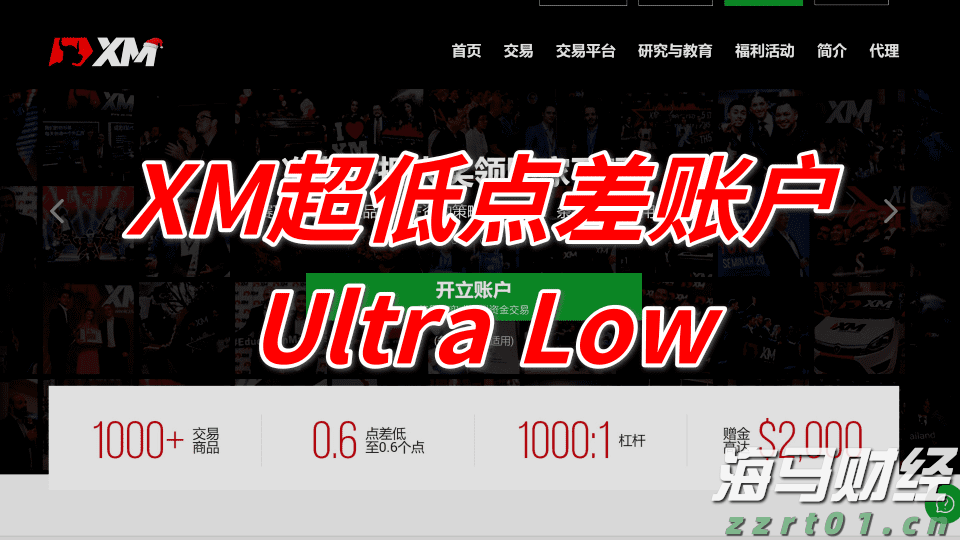 野村Q2投资布局聚焦AI及高波动性股票,重仓特斯拉期权