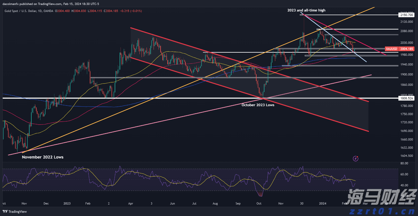 优服务强支撑  湛江市构建“近悦远来”人才生态